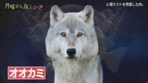 月曜から夜ふかし 選んだ動物で秘めている性格が分かる心理テスト 隠れた動物の写真 8月24日 きなこのレビューブログ