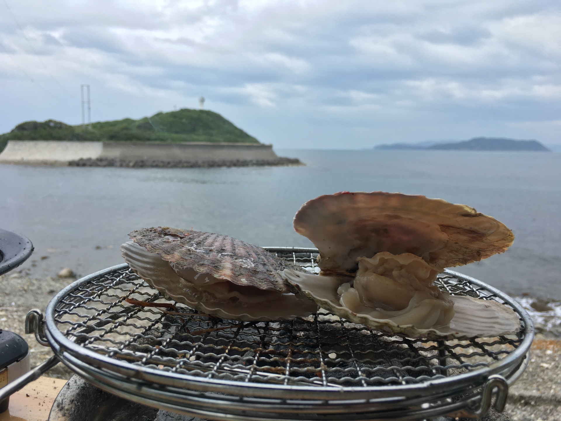 バナナマンのせっかくグルメ 浜焼きしんちゃん 深海魚が食べられる 静岡県沼津市 4月4日 きなこのレビューブログ