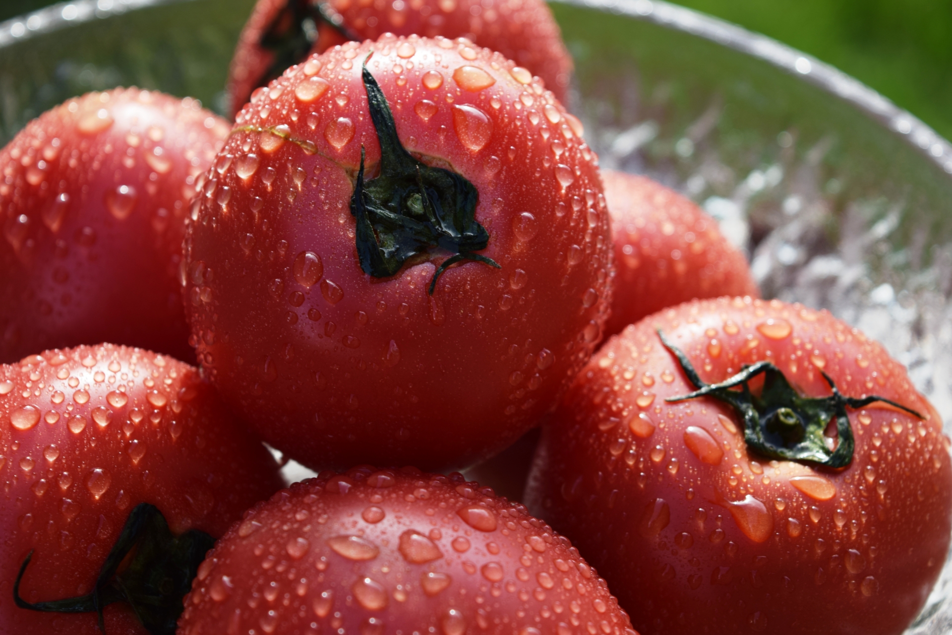 よんチャンtv トマトと豆腐のたまご丼のレシピ 5月14日 きなこのレビューブログ
