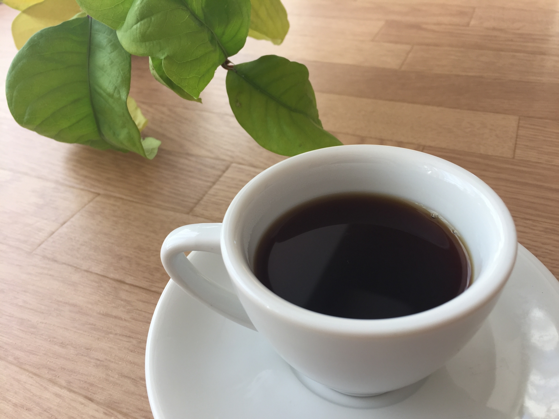 あさチャン 急須でコーヒーの淹れ方のレシピ 5月6日 きなこのレビューブログ