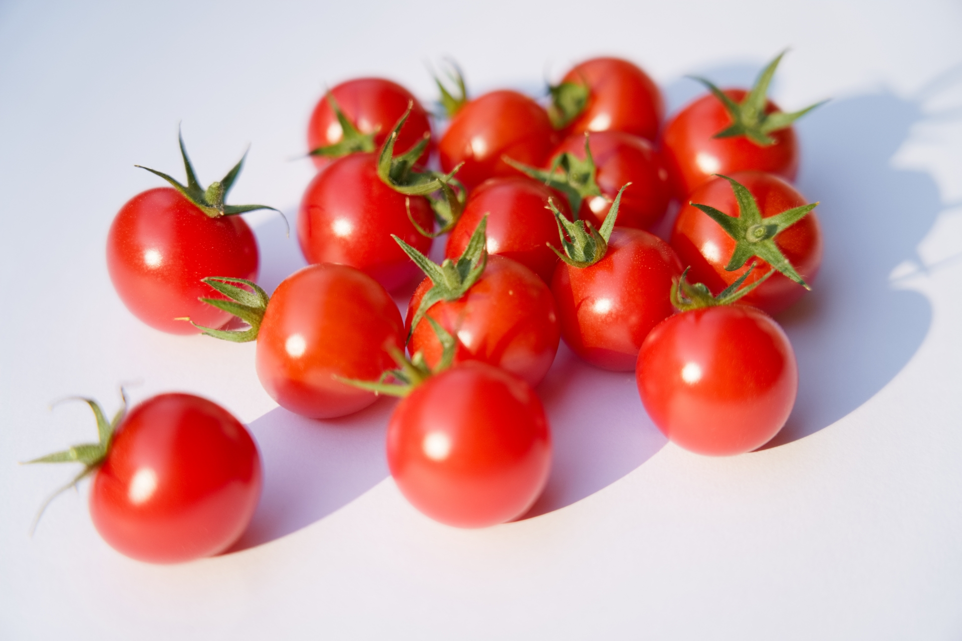 トマト しわしわ ミニ 農家が教えるミニトマト栽培 最後まで鈴なりの実を付けさせる方法