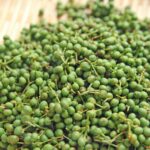 きょうの料理 山椒味噌のレシピ 小平泰子 5月14日 きなこのレビューブログ