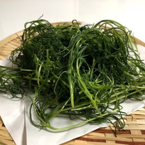 男子ごはん おかひじきとえのきの和え物のレシピ 冷酒に合う夏のおつまみ 7月18日 きなこのレビューブログ 男子ごはん おかひじきとえのきの和え物のレシピ 冷酒に合う夏のおつまみ 7月18日 きなこのレビューブログ