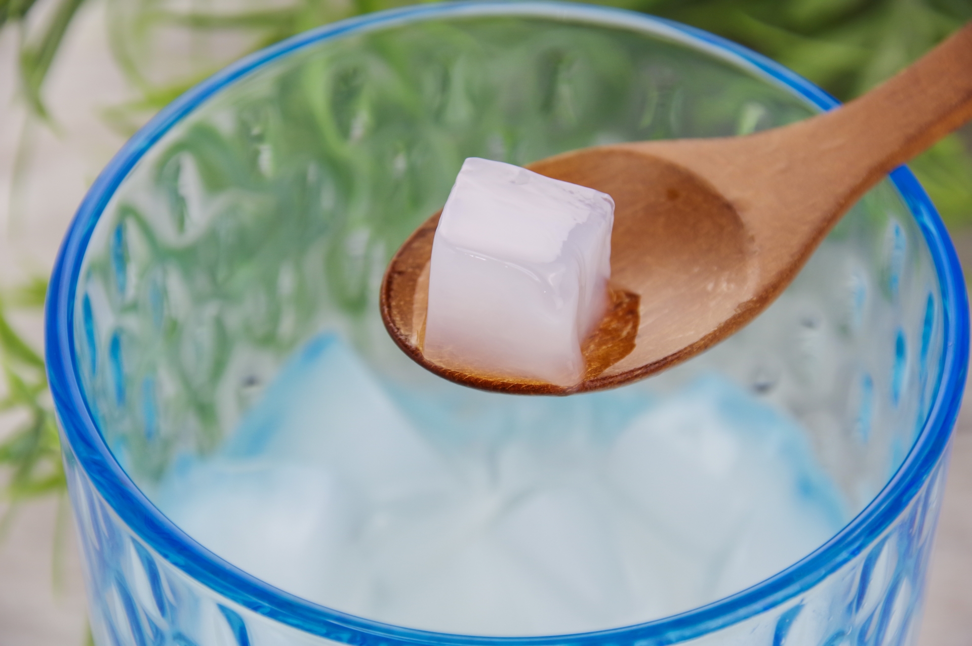 【世界一受けたい授業】ナタデココヨーグルトのレシピ｜DIY発酵食品｜アレルギー改善効果｜せかじゅ【9月4日】 | きなこのレビューブログ