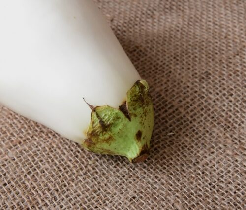 【博士ちゃん】白ナスとろとろバタポンステーキのレシピ【10月30日】 | きなこのレビューブログ