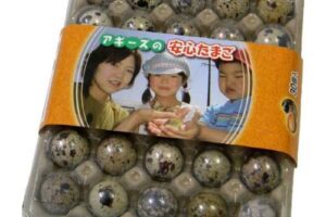 ザワつく金曜日 フラッシュウォーターのお取り寄せ 2秒でお湯が出る湯沸かし器 4月23日 きなこのレビューブログ