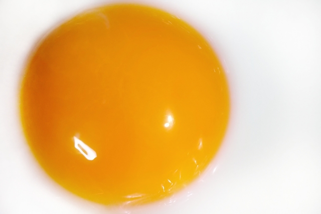 【ZIP】半熟卵オン肉まんのレシピ【9月5日】