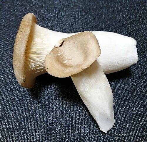 エリンギさま専用ページ ※他の方はご遠慮くださいませ 軽井沢ファーマーズギフトの洋風惣菜 ピリ辛エリンギ一味風味（袋