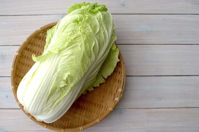 【よーいドン】白菜のサラダ リヨン風のレシピ ミルクボーイ【12月11日】